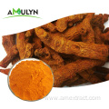 AMULYN Health Care Organic Turmeric Extract